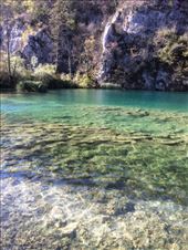 by shire_girl, Views[377]