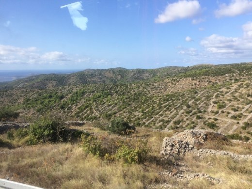 A view from the bus window of the thousands of stone walls on the island made as rocks were pulled out of the fields.