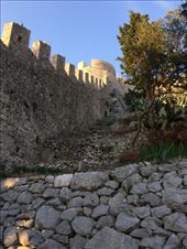 by shire_girl, Views[239]