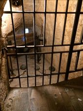 Cruel and unusual punishment.: by shire_girl, Views[210]