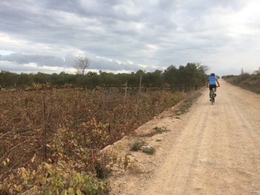 Stari Grad Plains as seen by bike.