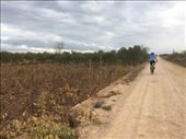Stari Grad Plains as seen by bike.: by shire_girl, Views[229]
