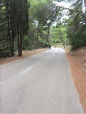 Biking in Hvar.: by shire_girl, Views[195]