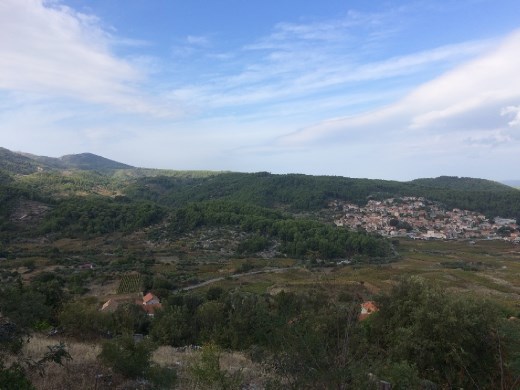 A view from the top.