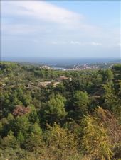 by shire_girl, Views[222]