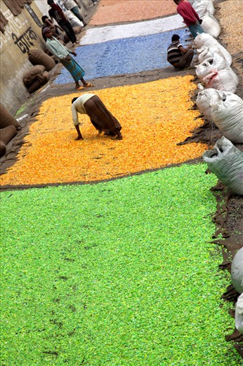 Recycle-plastic worker 