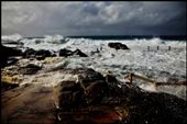 The storm hits: by shortstories, Views[235]