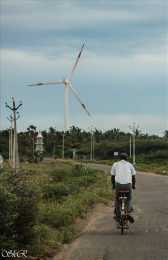 Cycling through the Wind farm near Kanyakumari, Tamilnadu.