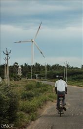 Cycling through the Wind farm near Kanyakumari, Tamilnadu.: by shrikishenr, Views[332]