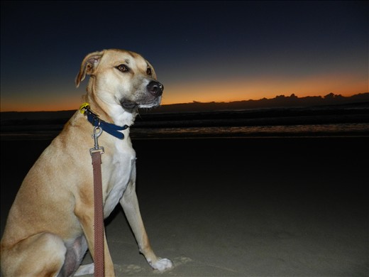 Before I leave for an adventure, I always spend the morning with my best friend. Since moving away from home over a year ago, I don't get to do this any more. This photo helps me to remember the fun and joy (and mischief) me and my dog would get into and how excited she would be upon my return from travels.