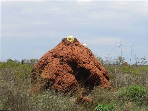 close up of how they are moulded in