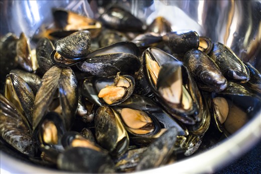 The Fresh mussels