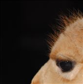 by sicorleone, Views[254]