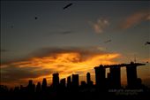 A kite flying day at the Marina Barrage, Singapore overseeing the Singapore skyline. The golden clouds look like a giant kite in the sky itself: by siddharthvishwanath, Views[594]