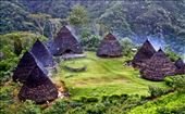 Formation of Mbaru, traditional house of Manggarai tribe: by sidiqpambudi, Views[476]