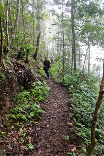 A trail connecting to the nearest village