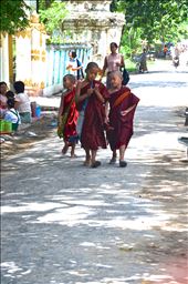 Almost every burmese would have lived in a monastery in their life time: by sierra-hope, Views[369]