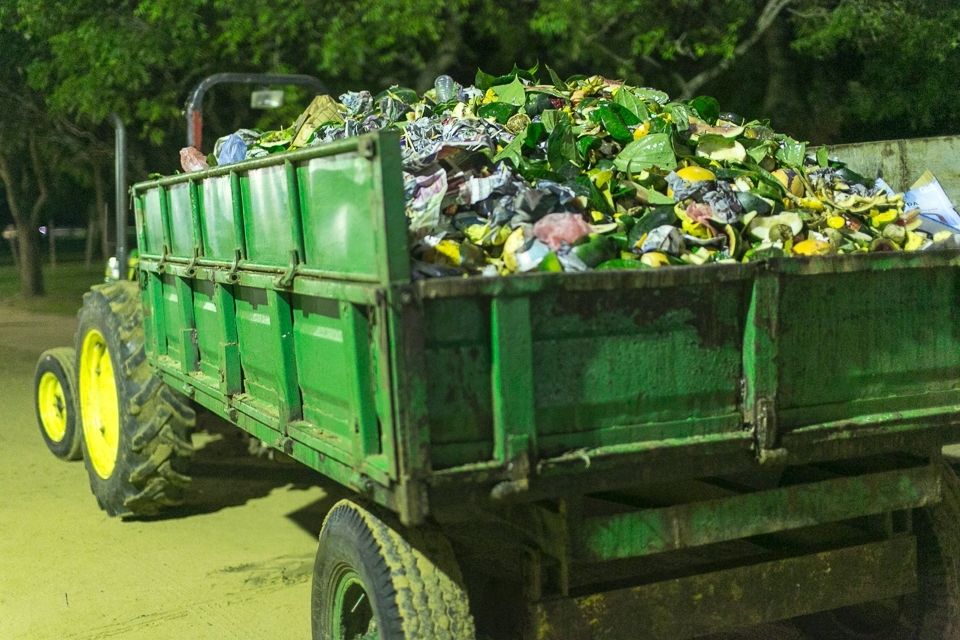 After the offering, the fruits are consumed by the pilgrims, and the leftovers are trashed.
You can surely imagine the number of offerings from the volume of garbage collected daily.