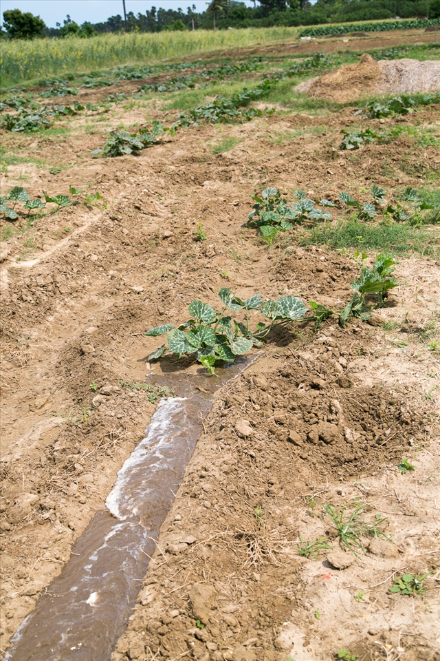 The war ended 4 years ago, and with peace, development from the south has been slowly trickling in to nourish this parched land – but there is still much more to be done.