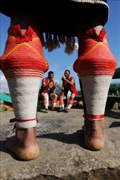 Hornbill Feast: by sikkim, Views[171]