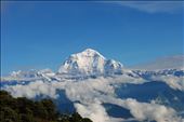 Best view ever: Himalaya in front of us: by silviaaroundtheworld, Views[279]