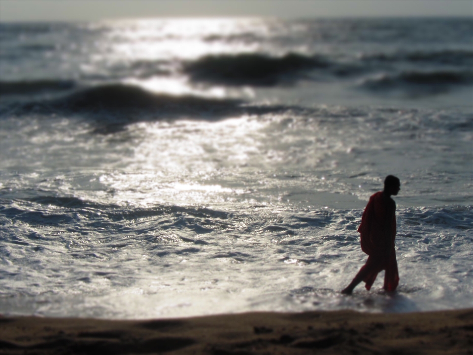 Serene Sri Lanka: a monk walking at sunset, his last walk of the day