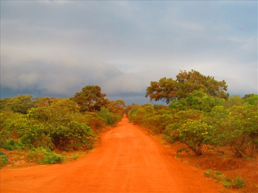 Colorful Sri Lanka: red roads in Yala National park