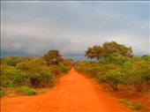 Colorful Sri Lanka: red roads in Yala National park: by silviaemilia, Views[592]