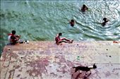 The Ganges River is heavily polluted at Varanasi, priests and rituals are everywhere and bodies are cremated in public. At sunset, pilgrims and locals alike bathe in the Ganges as part of their daily hindu rituals.
: by silviupaveljournal, Views[1679]