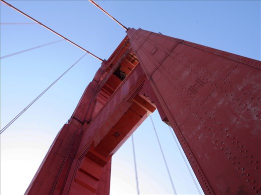 Looking up in wonder. 