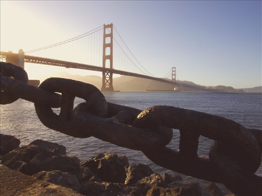 Admiring you from afar, lit by the rays of the setting sun. 