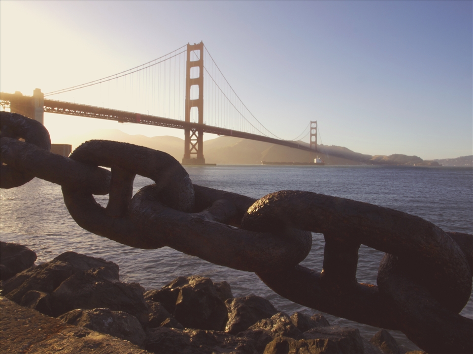 Admiring you from afar, lit by the rays of the setting sun. 