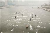Fishing on the Haihe river  海河大桥.

During the winter time Tianjin River it became a long piece of ice. Tianjin people like to fish a lot, and the ice doesn't stop them: by simonesantoba, Views[1610]