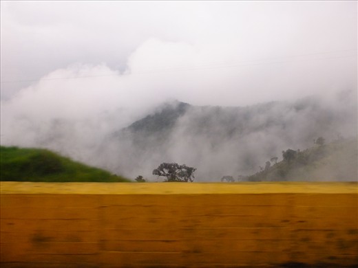 The road to Salento is not for the faint hearted. There are not rules here, but rather an “understanding” between the hundreds of truckers who haul their heavy loads from peak to peak on this twisty mountain road. Larger vehicles must sustain momentum on the steep inclines and will often overtake into the oncoming traffic. With some stretches reaching an altitude above 3000 meters visibility is also a major issue. Every so often through a break in the clouds the sheer drop to the coffee plantations below can be seen. 