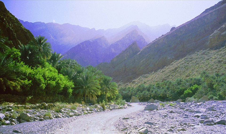 Dry wadi in the mountains of Oman