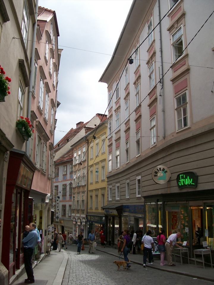 Sporgasse Street-Old Town Date Taken : 18/07/2008 15:38 Dimensions : 2304x3072
 Width : 2304 pixels
 Height : 3072 pixels 
Horizontal Resolution : 230 dpi Vertical Resolution : 230 dpi
 Bit depth : 24 
Camera : KODAK EASYSHARE C743 ZOOM DIGITAL CAMERA F-stop : f/2.7 
Exposure time :1/751 sec. 
ISO speed : ISO-80 
Flash mode : No flash, auto 
5000 years ago, the city of Graz was nothing but a steep, rocky hill by the river Mur. In 1379, Graz had grown enough to be designated capital of 