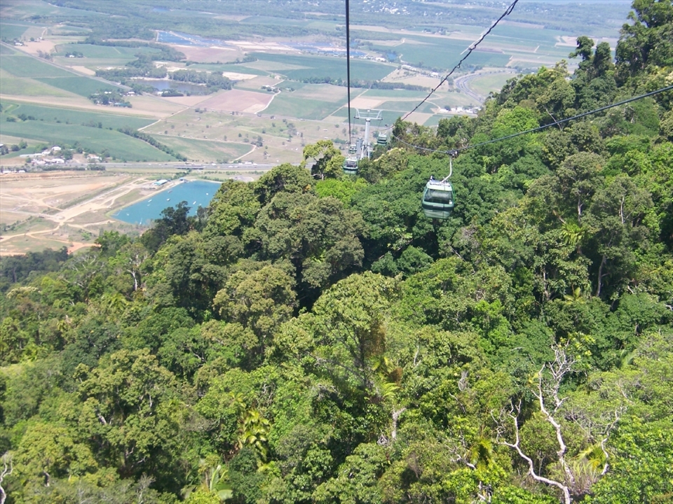 Cairns from the Skyrail View
Date Taken          : 31/10/2008 14:03
Dimensions        : 2832x2128
Width                    : 2832 pixels
Height                  : 2128 pixels
Horizontal Reolution : 230 dpi
Vertical Resolution    : 230 dpi
Bit Depth              : 24
Camera Model    : KODAK Z612 ZOOM DIGITAL CAMERA
F-stop                   : f/3.2
Exposure Time   : 1/500 sec.
ISO speed           : ISO-80
This picture shows a beauty of rainforest at Kuranda. One of the greatest masterpiece made by God in Australia.The picture taken at the highest point on the cableway (1,788 feet). From this point of view we could see Holloways Beach and Machans Beach with its clear water.