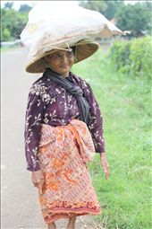 we must be able to hold the burden: by simplicity, Views[185]