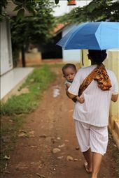 life must go on: by simplicity, Views[179]