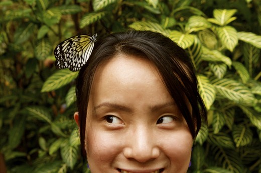Amidst a wild profusion of foliage, wandering butterflies make such delightful sight.