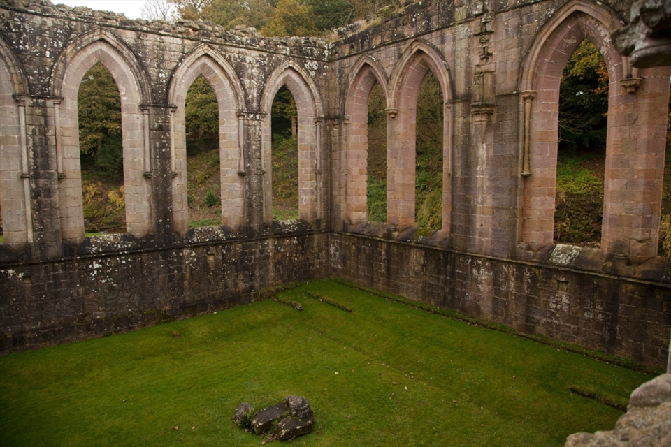 Windows from a height which shows the symmetry and architecture