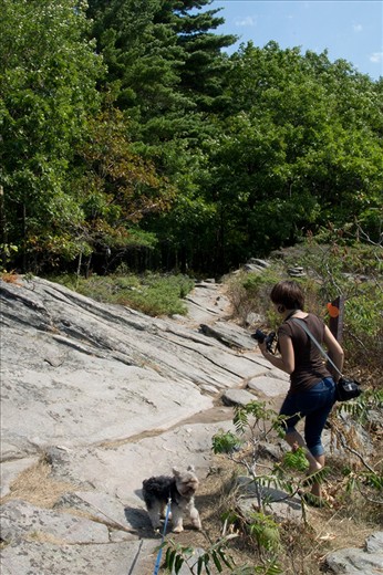 The trek from camp to the shore to view the sunset at Camp Killbear.