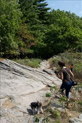 The trek from camp to the shore to view the sunset at Camp Killbear.: by sin3rgy, Views[390]
