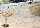 In Looking up around kurd village, I saw this scene.
On roof a dropped hayfork and a pair of old shoes at the bottom it and a stack of hay.
Somehow it makes sense of Poor economic conditions and agricultural in kurdistan.: by sinbadsialor, Views[233]