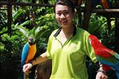 Colours of happiness, joy and harmony - you can find them all in Sentosa island and it's amazing habitants : by singaporelooks, Views[207]