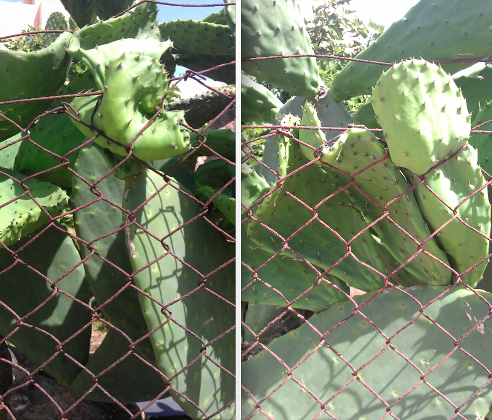Keep it organized. This place is mine. Nature vs. Human territory.