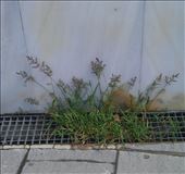 Urban errors.: by sinquenza, Views[236]