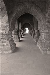 king stood alone only to witness loss of empire, What else a king could do in the past or may be in present or in future.: by sirshendu, Views[509]