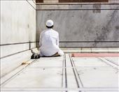 Solemnity: by sjordan, Views[311]