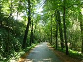 Palace Gardens: by skipper1949, Views[206]